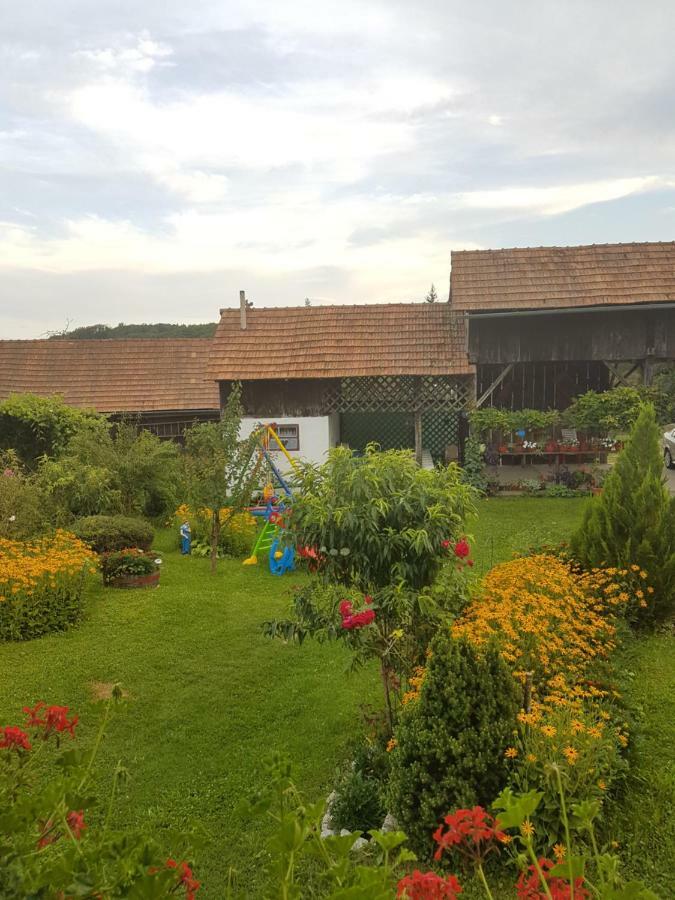 Apartman Jozefina Netretic Exterior foto