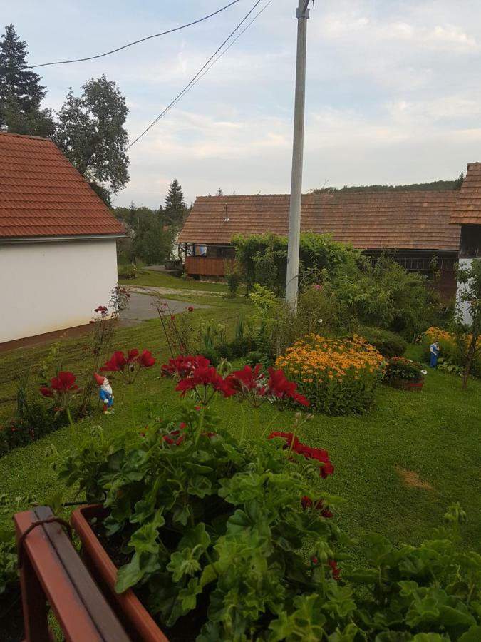 Apartman Jozefina Netretic Exterior foto